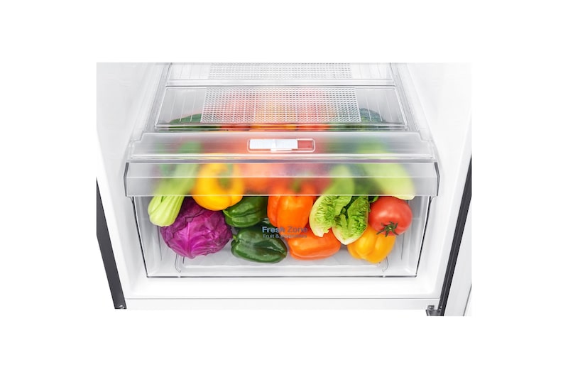 LG Refrigeradora Top Freezer 235L con Múltiple Flujo de aire, Control de humedad y diagnóstico inteligente, GT26BPG