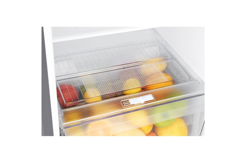 LG Refrigeradora Top Freezer 235L con Múltiple Flujo de aire, Control de humedad y diagnóstico inteligente, GT26BPG