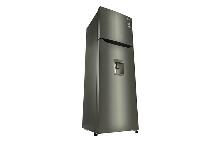 LG Refrigeradora con Smart Inverter Compressor (10 años de garantía) y 258 L de capacidad, GT28WPPX