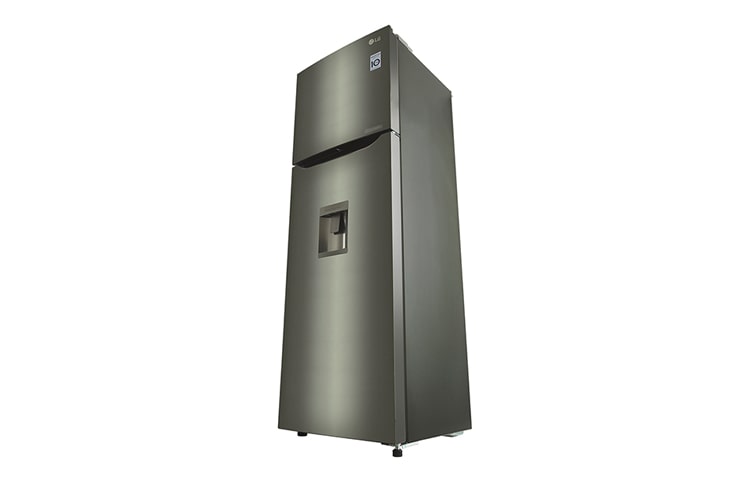 LG Refrigeradora con Smart Inverter Compressor (10 años de garantía) y 258 L de capacidad, GT28WPPX