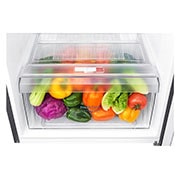 LG Refrigeradora Top Freezer 254L con Múltiple Flujo de aire, Control de humedad y diagnóstico inteligente, GT29WPPK