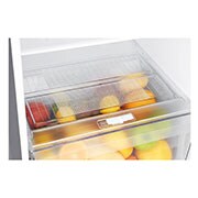 LG Refrigeradora Top Freezer 254L con Múltiple Flujo de aire, Control de humedad y diagnóstico inteligente, GT29WPPK