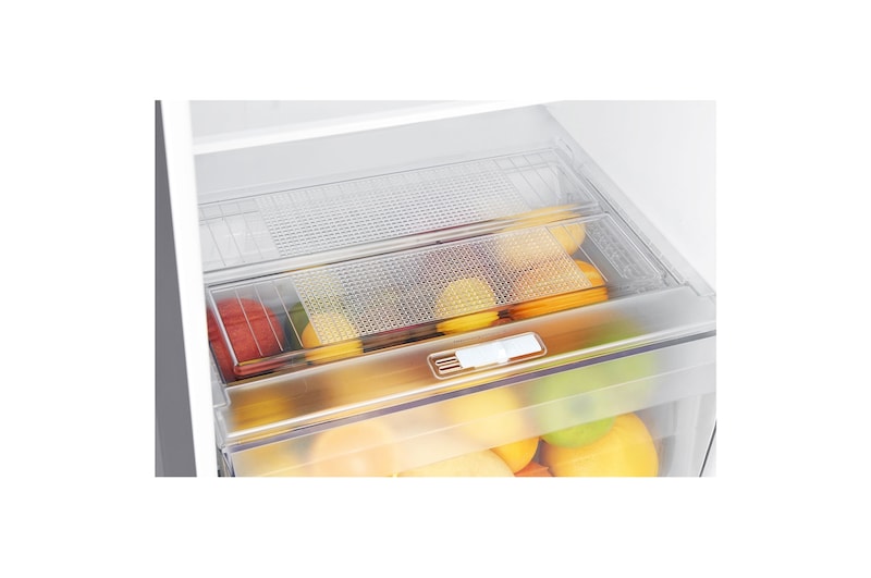 LG Refrigeradora Top Freezer 254L con Control de humedad, GT29WPPK