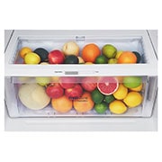 LG Refrigeradora Top Freezer 410L con Door Cooling y ThinQ, GT41SGP