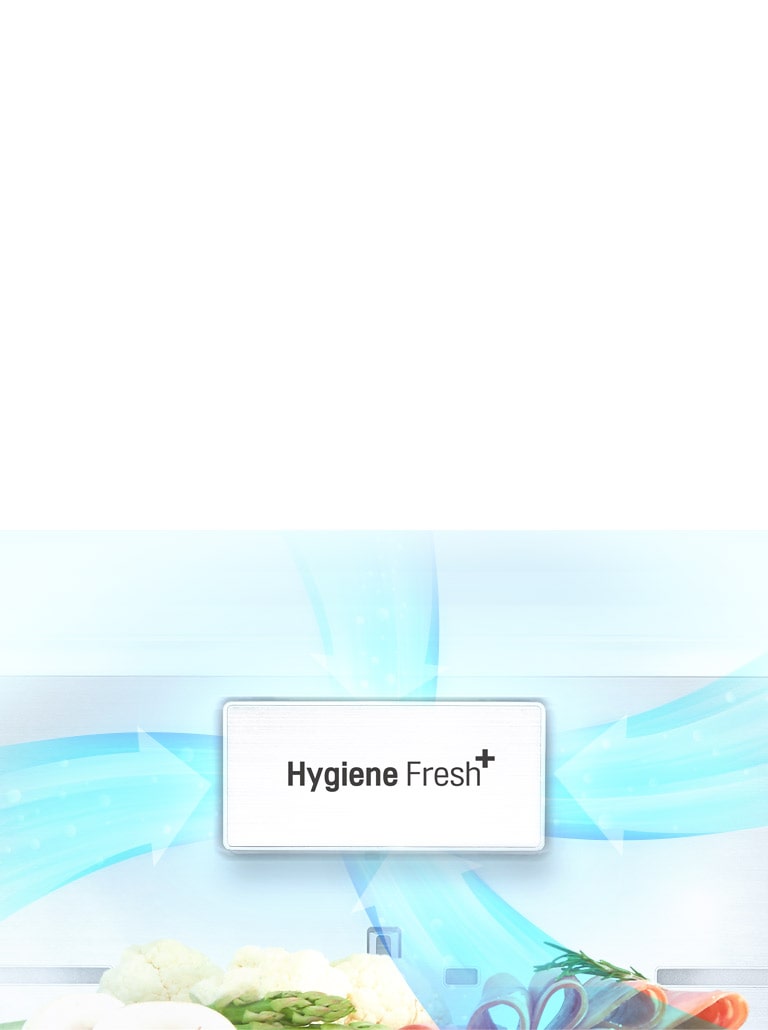 El panel trasero del refrigerador tiene "Higiene Fresh +", con rayas azules que indican limpieza y reducción de bacterias.