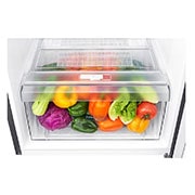 LG Refrigeradora con Inverter Linear Compressor, 312 L - LT32BPP.APZGLPR - México, LT32BPP