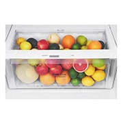 LG Refrigeradora Top Freezer 396L, con DoorCooling, HygieneFresh+ y conectividad Wi-Fi, negra, LT41AGD