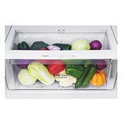LG Refrigeradora Top Freezer 396L, con DoorCooling, HygieneFresh+ y conectividad Wi-Fi, negra, LT41AGD