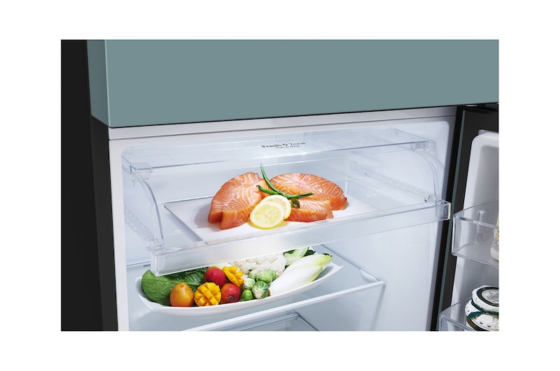 bottom fridge opened