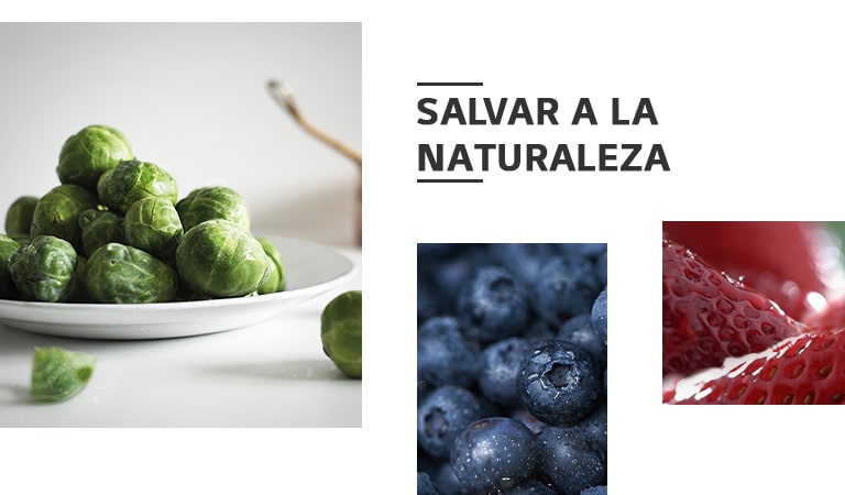 REF-NatureFRESH-Vplus-01-Story-03-Saving-Nature-Desktop