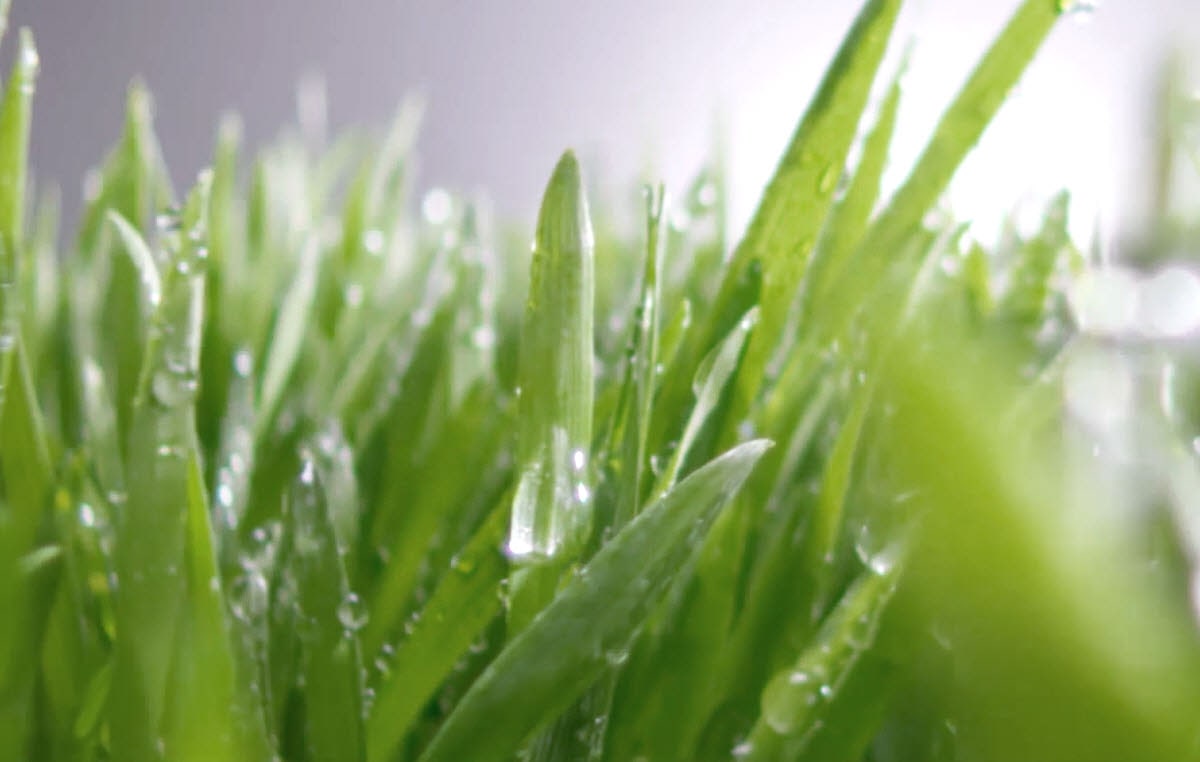 REF-NatureFRESH-Vplus-01-Story-05-Large-Thumb01-Desktop