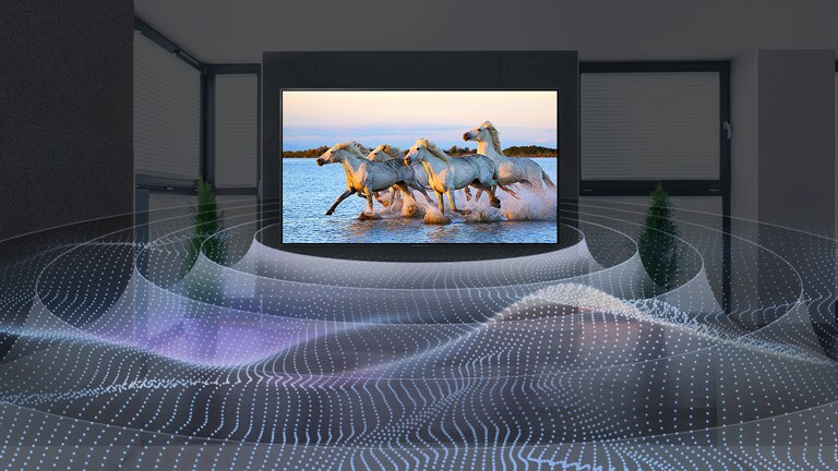 Cuatro caballos blancos corren en el agua en la TV con sonido envolvente y gráficos