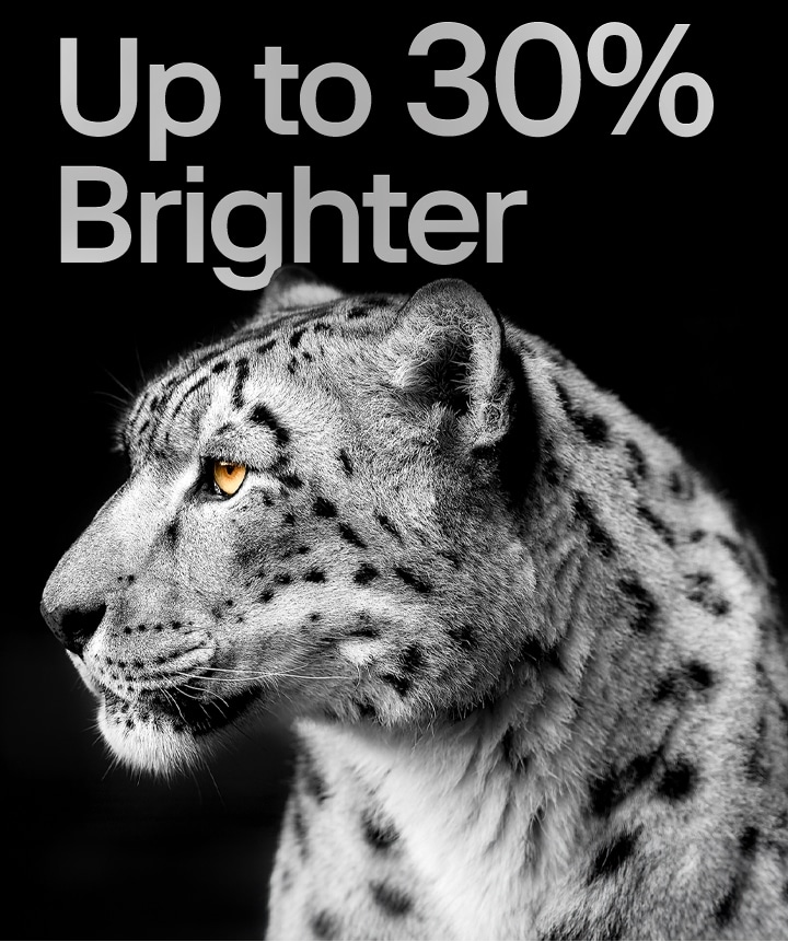 Un leopardo blanco muestra su cara lateral en la parte izquierda de la imagen. A la izquierda aparece la leyenda "Hasta un 30% más brillante".