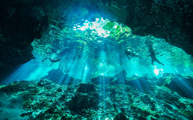 Una escena bajo el agua que se ilumina con rayos de luz que brillan en el agua (reproducir video).