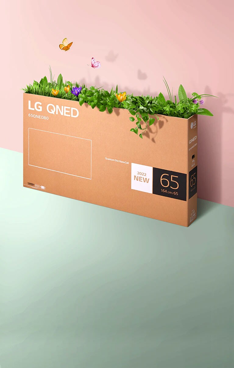 A QNED packaging box is placed on pink, green background and there is grass growing and butterflies coming out from its inside.