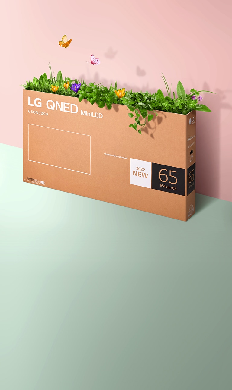 Una caja de empaque QNED se coloca sobre un fondo rosa y verde y crece hierba y salen mariposas de su interior.