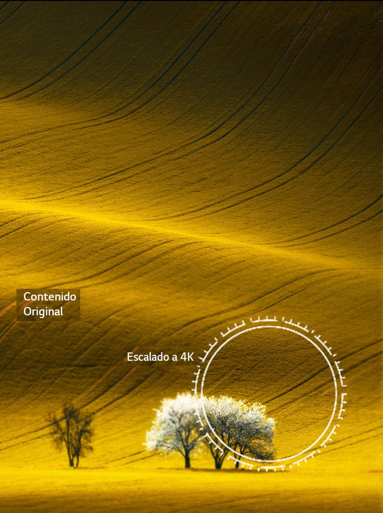 Una vista de la naturaleza, comparando la calidad de la imagen que el contenido no 4K y el contenido 4K escalado.