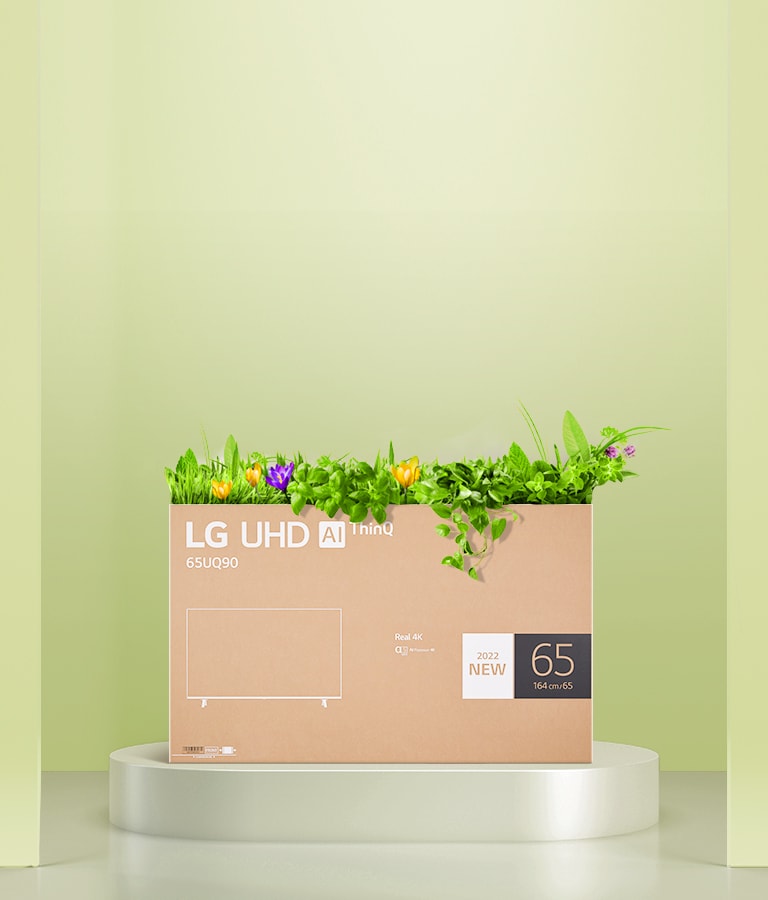 Una caja de flores reciclada utilizando el embalaje de una caja de monitor LG UHD.