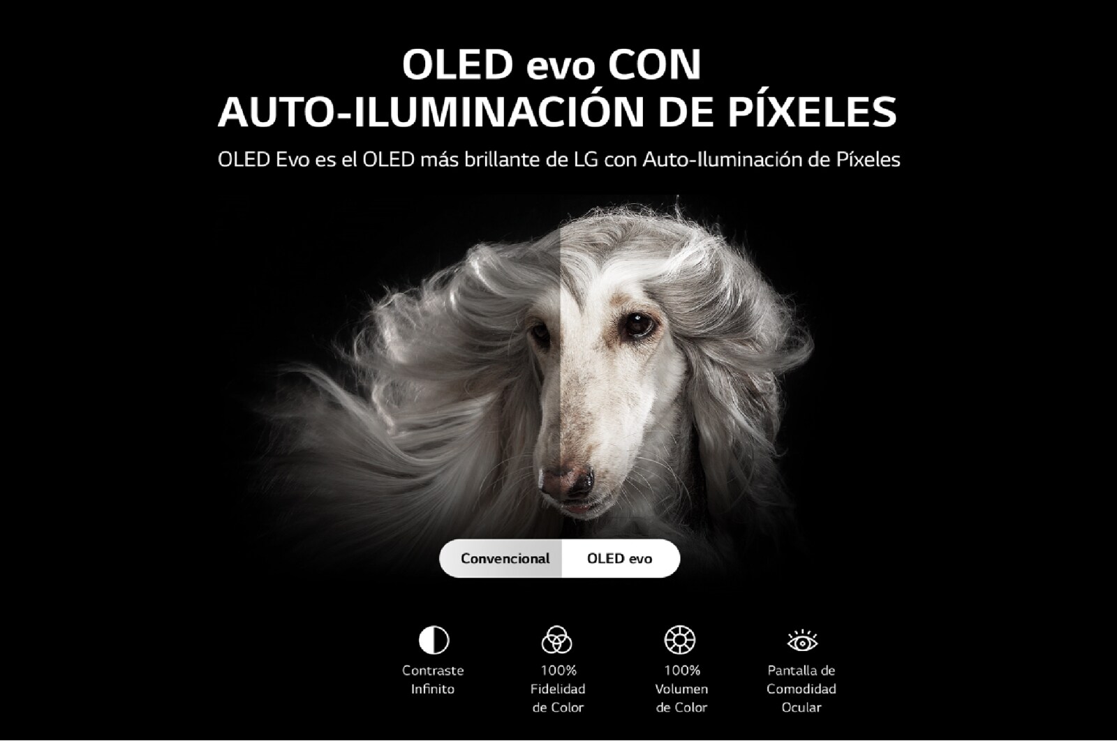 LG OLED evo 55'' C2 4K Smart TV con ThinQ AI (Inteligencia Artificial), 4K Procesador Inteligente α9 generación 5, OLED55C2PSA