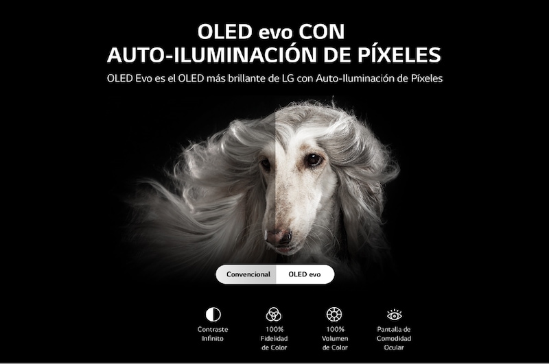 LG OLED evo 55'' C2 4K Smart TV con ThinQ AI (Inteligencia Artificial), 4K Procesador Inteligente α9 generación 5, OLED55C2PSA