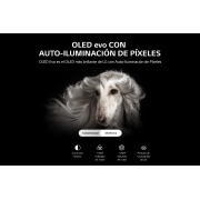 LG OLED evo 55'' C2 4K Smart TV con ThinQ AI (Inteligencia Artificial), 4K Procesador Inteligente α9 generación 5, OLED55C2PSA