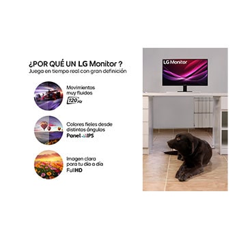 Vista lateral a +15 grados  monitor LG IPS Full HD de 24" 24U411A-B