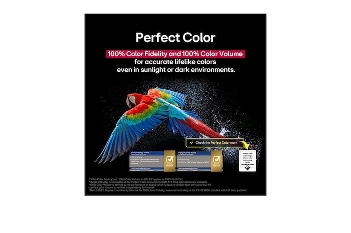 Sala de estar con una LG OLED TV montada en la pared. 