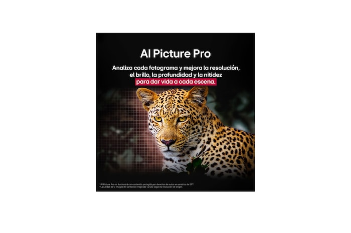 Colorful parrot in ultra-high definition against a black background. Water drops are suspended in the air all around it. The image showcases Perfect Color as each different hue on the parrot's body is vibrant and vivid. The dark background with the detailed water splashes also highlights how the screen is reflection-free. Different logo certifications from UL and Intertek are visible. These refer to its 100% Color Fidelity, 100% Color Volume, and reflection-free claim. Text is also visible, check the Perfect Color certification mark.