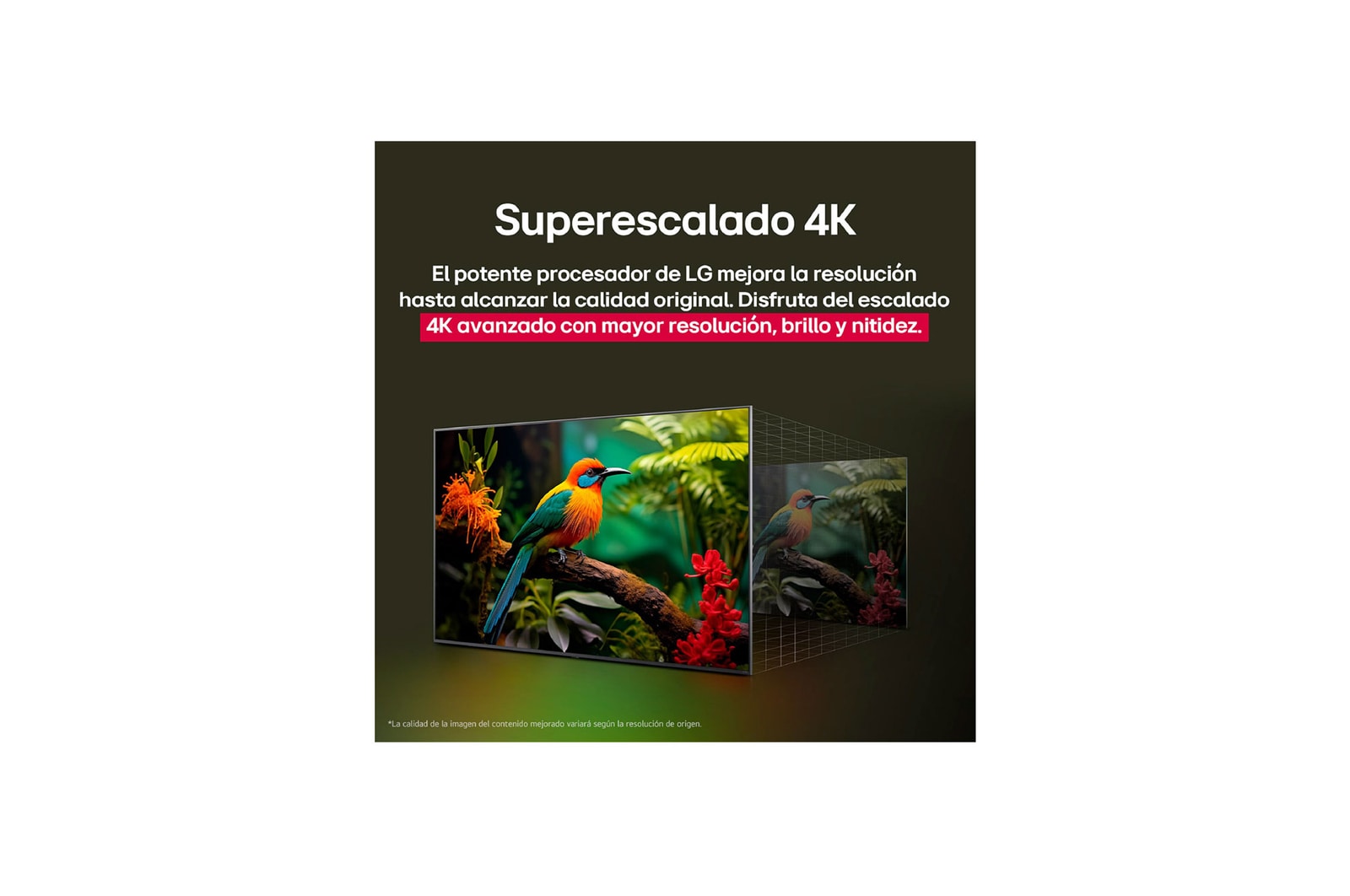 Before and after comparison of how LG 4K Super Upscaling improves image quality. Two panels showing the same image of a colorful bird sitting on a branch in a forest, panel on the right is faded out. The title talks about how 4K Super Upscaling enhances resolution, brightness and clarity. 