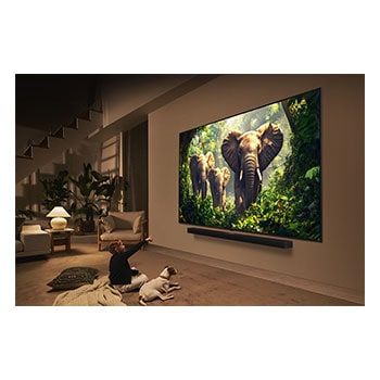 Una joven y un perro sentados frente a una LG QNED TV montada en una pared en la que se ven tres elefantes caminando hacia fuera por encima de la LG Soundbar. El título habla de cómo las escenas son más emocionantes en una pantalla gigante.