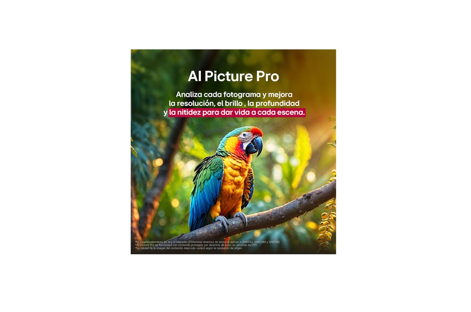 Loro en la rama de un árbol en colores vivos. El título habla de cómo LG Al Picture Pro ha conseguido impresionantes mejoras visuales en la resolución, el brillo, la profundidad y la claridad de la escena.