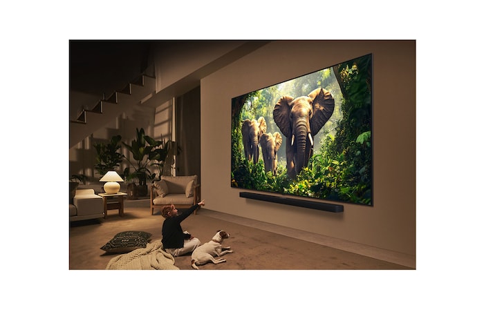 Una joven y un perro sentados frente a una LG QNED TV montada en una pared en la que se ven tres elefantes caminando hacia fuera por encima de la LG Soundbar. El título habla de cómo las escenas son más emocionantes en una pantalla gigante.