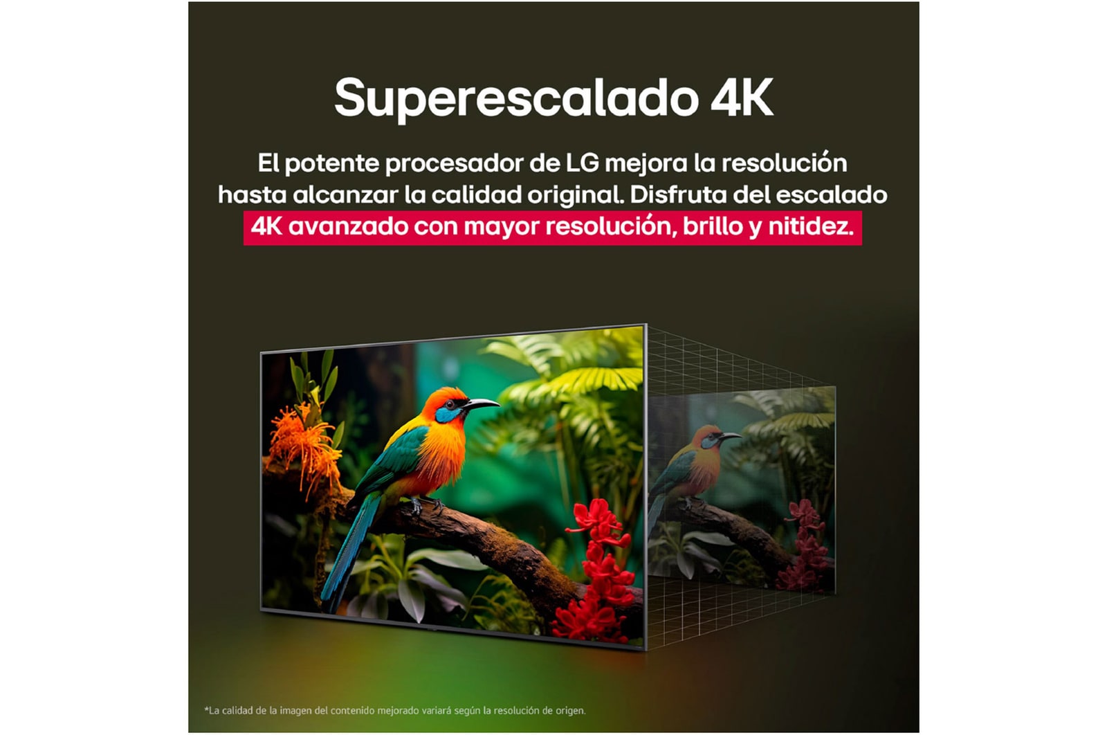 Comparación de antes y después de cómo el superescalado 4K de LG mejora la calidad de la imagen. Dos paneles muestran la misma imagen de un pájaro colorido posado en una rama en el bosque, el panel de la derecha está difuminado. El título hace referencia a cómo el superescalado 4K mejora la resolución, el brillo y la claridad. 
