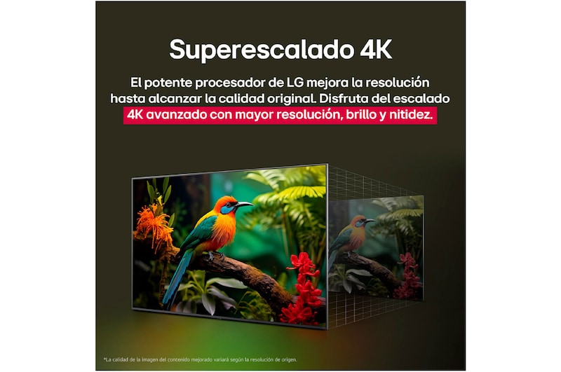 Comparación de antes y después de cómo el superescalado 4K de LG mejora la calidad de la imagen. Dos paneles muestran la misma imagen de un pájaro colorido posado en una rama en el bosque, el panel de la derecha está difuminado. El título hace referencia a cómo el superescalado 4K mejora la resolución, el brillo y la claridad. 