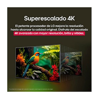 Comparación de antes y después de cómo el superescalado 4K de LG mejora la calidad de la imagen. Dos paneles muestran la misma imagen de un pájaro colorido posado en una rama en el bosque, el panel de la derecha está difuminado. El título hace referencia a cómo el superescalado 4K mejora la resolución, el brillo y la claridad. 