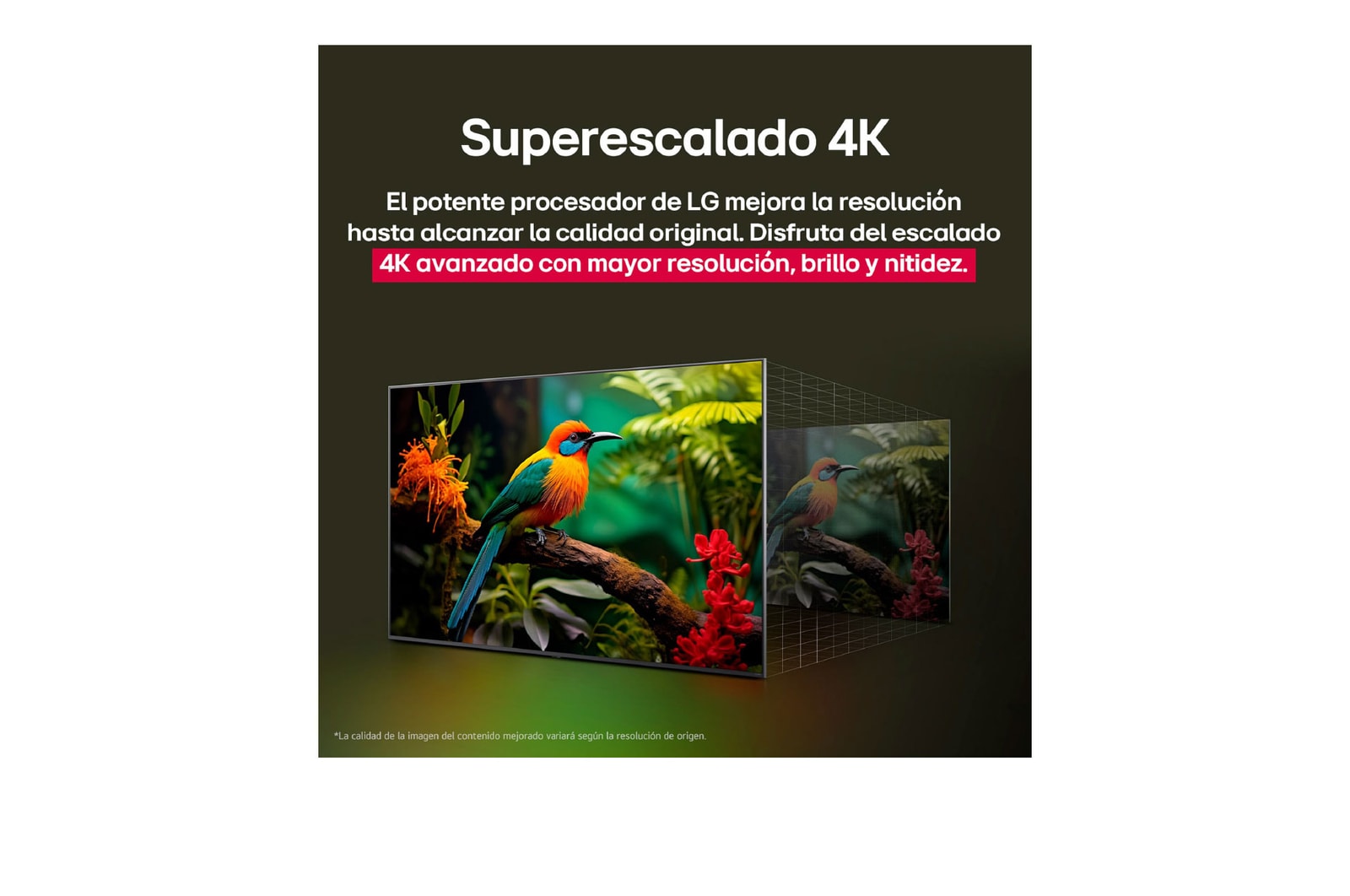 Comparación de antes y después de cómo el superescalamiento 4K de LG mejora la calidad de la imagen. Dos paneles muestran la misma imagen de un pájaro colorido posado en una rama en el bosque, el panel de la derecha está difuminado. El título hace referencia a cómo el superescalamiento 4K mejora la resolución, el brillo y la claridad. 