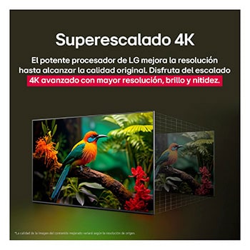 Comparación de antes y después de cómo el superescalamiento 4K de LG mejora la calidad de la imagen. Dos paneles muestran la misma imagen de un pájaro colorido posado en una rama en el bosque, el panel de la derecha está difuminado. El título hace referencia a cómo el superescalamiento 4K mejora la resolución, el brillo y la claridad. 