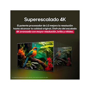 Comparación de antes y después de cómo el superescalado 4K de LG mejora la calidad de la imagen. Dos paneles muestran la misma imagen de un pájaro colorido posado en una rama en el bosque, el panel de la derecha está difuminado. El título hace referencia a cómo el superescalado 4K mejora la resolución, el brillo y la claridad. 