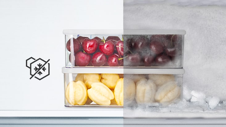 Fruits in plastic boxes, half is frozen, the other half is not.