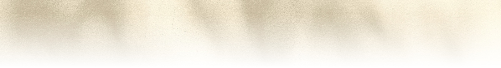 Background image of leaves shadow