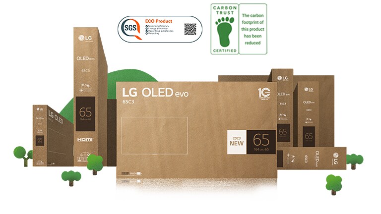 Empaque de cartón ecológico LG OLED representado alrededor de árboles y montañas.