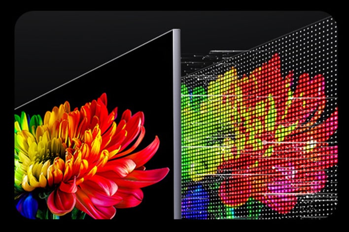 Cutaway view of a TV showing a vivid flower on the screen and a detailed RGB backlight grid behind it