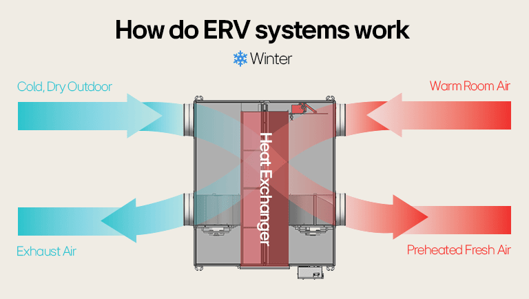 Diagram of how ERV systems work in winter, using a heat exchanger to preheat fresh air with warm exhaust air.