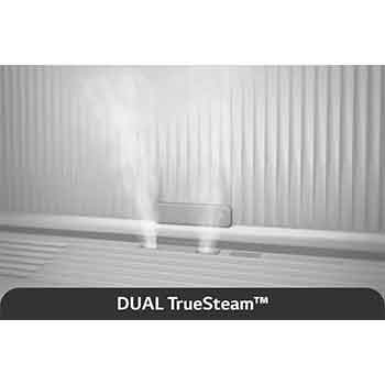 LG Styler Mirror Black (Built-in HandySteamer™), SC5GMR80H