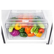 LG 7.2 Cu. Ft. Top Freezer Refrigerator with Smart Inverter Compressor, GR-B202SQBB
