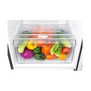 LG Two-Door Top Freezer Refrigerator, GR-B222SQBB
