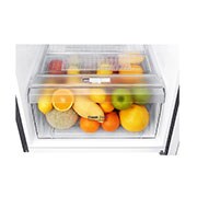 LG Two-Door Top Freezer Refrigerator, GR-B222SQBB