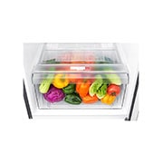 LG 8.0 cu.ft., Door cooling, Efficient Energy Saving, Wired Shelves, Inverter Technology, Commercial Refrigerator, GR-N222SQCN