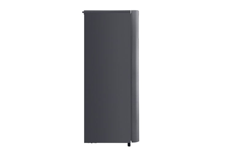 LG 6 Cu. Ft. 1-Door Refrigerator with Smart Inverter Compressor and Bigger Freezer, GR-V204SLBT