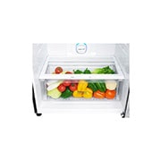 LG 19.4 cu. ft. Top Freezer Refrigerator with Bar Type Door Handle in Prime Silver, RUT-B194MC